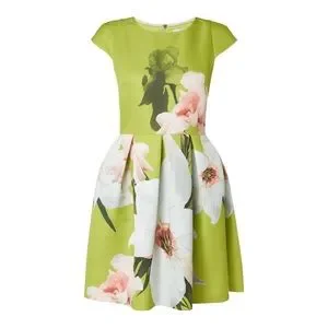 NEW Ted Baker London Lynetta Chatsworth Bloom Skater Fit Flare Dress  US